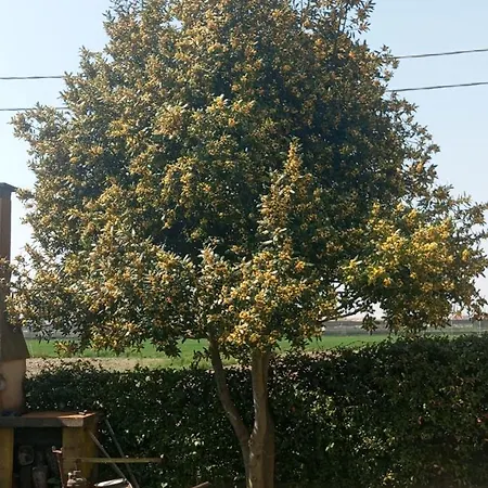 Rum i privatbostad Privata Vicino A Venezia In Aperta Campagna *