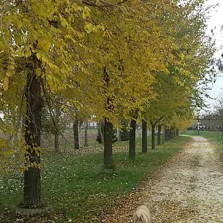 Alloggio in famiglia Privata Vicino A Venezia In Aperta Campagna Dogaletto