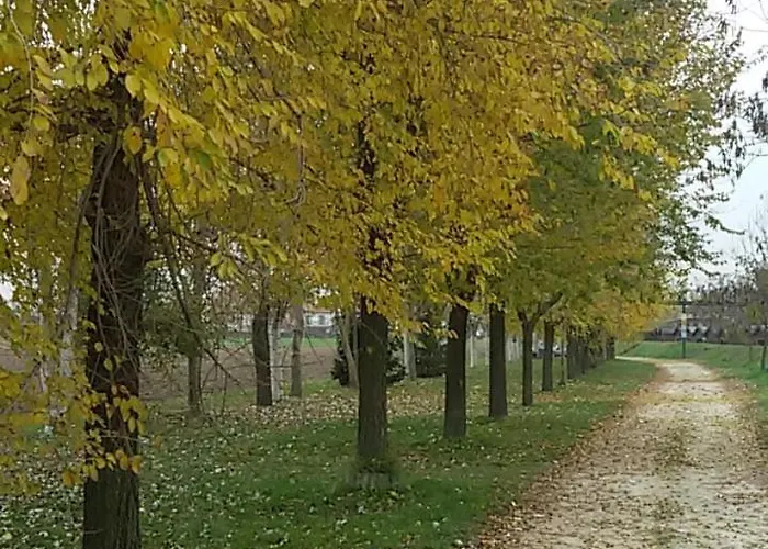 בית אירוח Privata Vicino A Venezia In Aperta Campagna Dogaletto